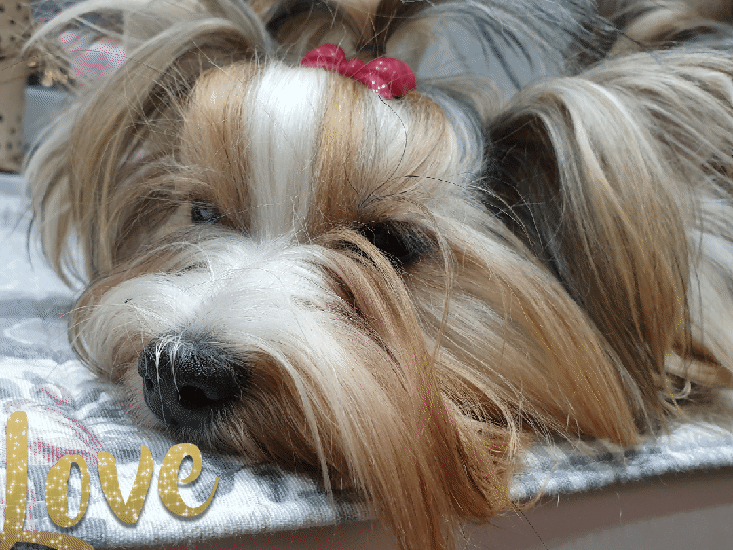 GIF_20190124_174710